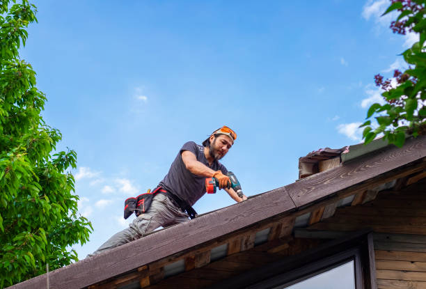 Best Sheet Metal Roofing  in Coral Terrace, FL