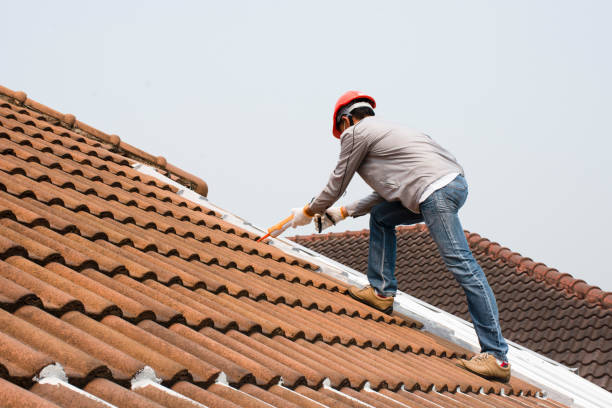 Best Rubber Roofing (EPDM, TPO)  in Coral Terrace, FL